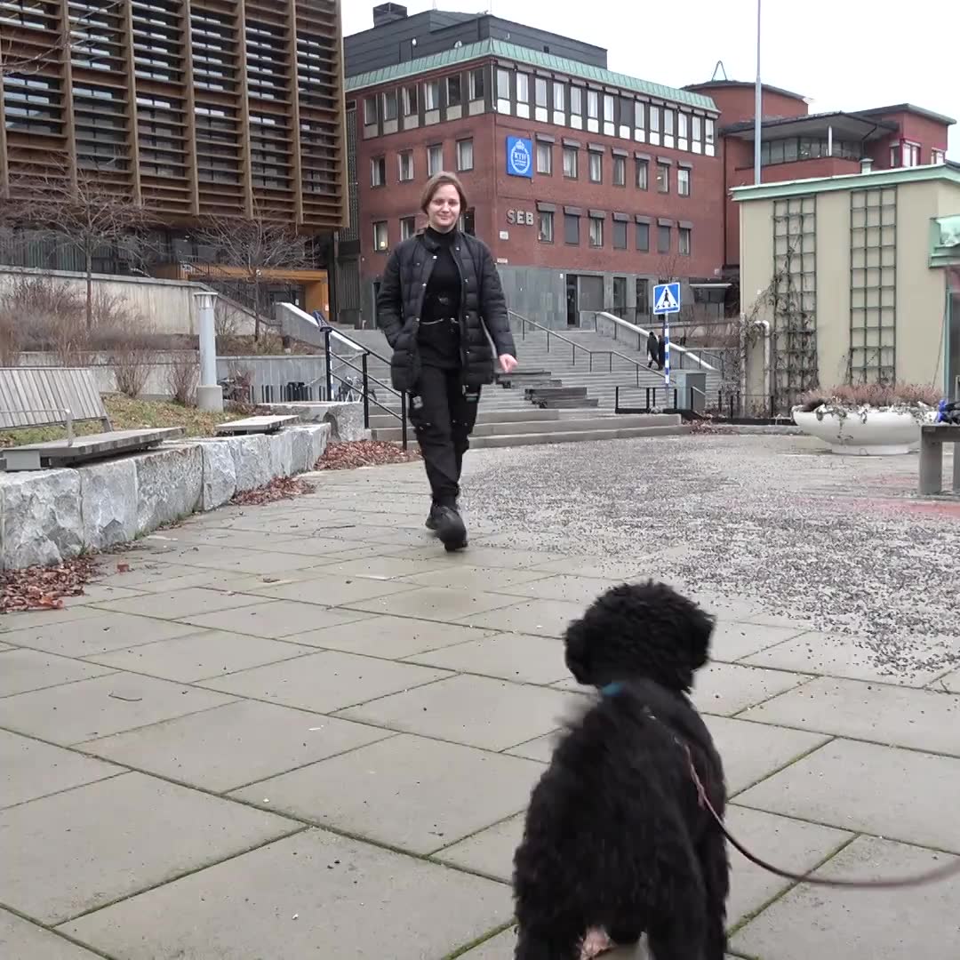 Hunden Helga hjälper deprimerade Jessika